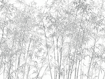 植被