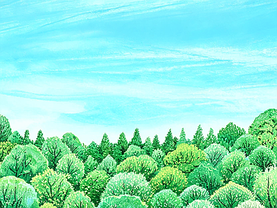 植被