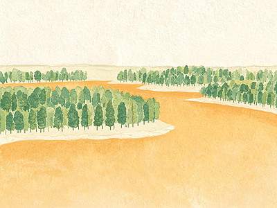 其他风景