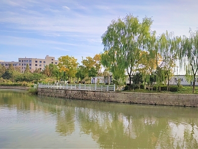 其他风景