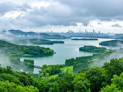 户外HDR 森林