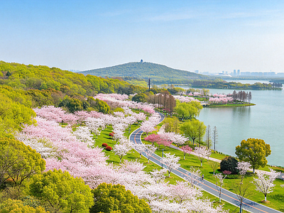 户外HDR 公园