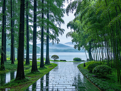 户外HDR 森林