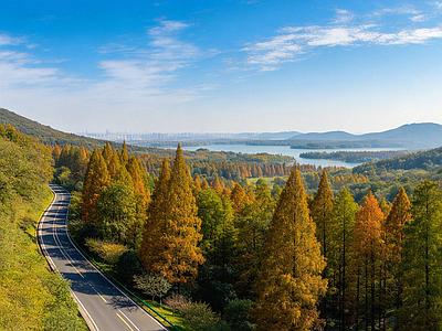户外HDR 公园 森林