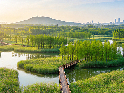 户外HDR 公园