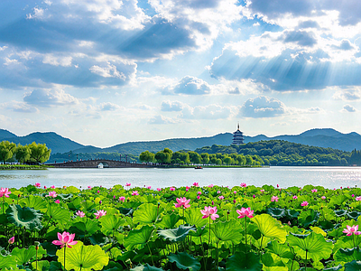 户外HDR 公园 荷塘