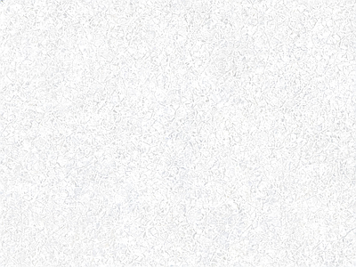 裂纹漆
