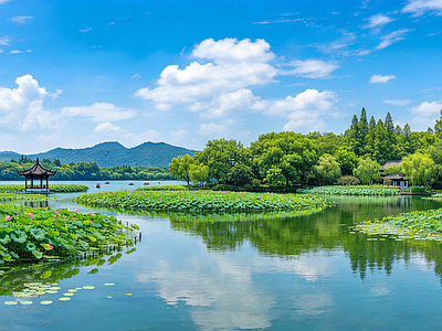 户外HDR 公园 荷塘 荷花 荷叶 山水
