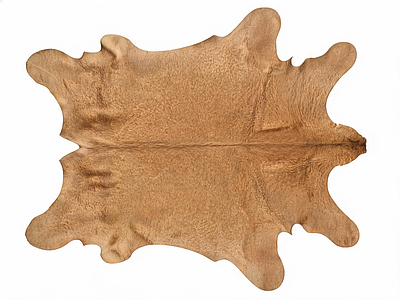 动物皮毛