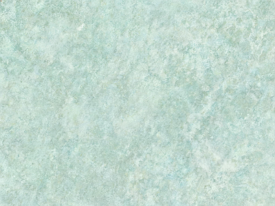 马来漆
