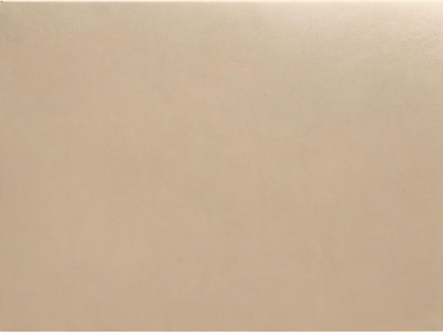 鎏金板