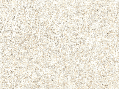 素色布纹