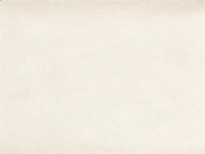 细纹皮革