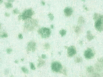 其他壁纸