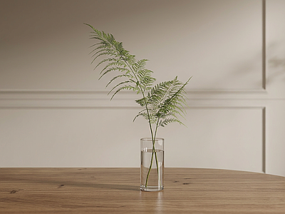 小型桌面绿植草本植物