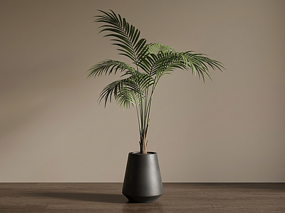 艺术绿植盆栽