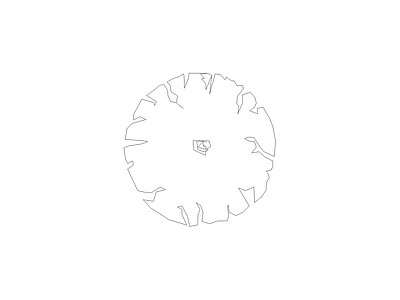 现代植物图块 梧桐