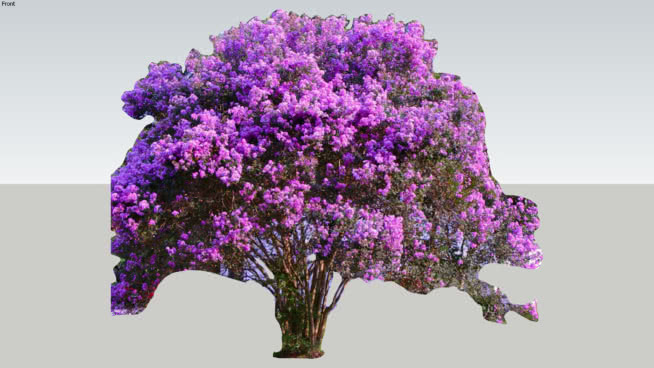 紫薇 花 植物 其他 饰品 围巾