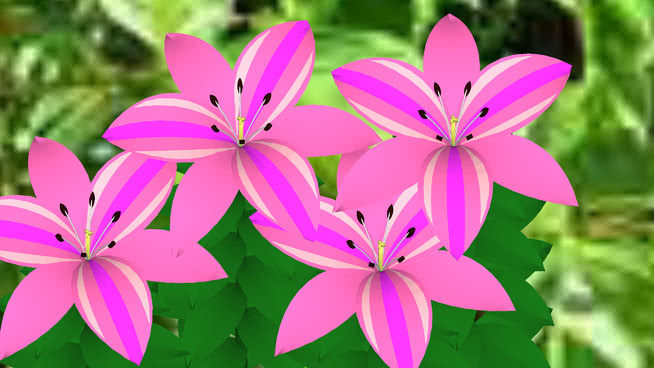 粉红百合 花 植物 风车