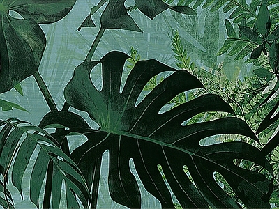 绿植墙