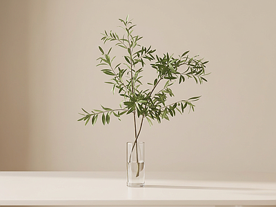 造型绿植灌木