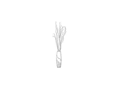 种绿植盆栽图块 植物