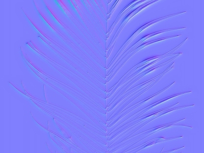 其他法线