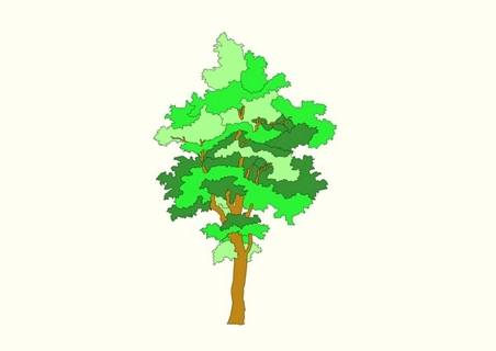 2D植物树