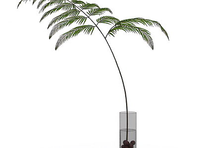 带盆绿植模型