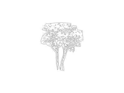 乔木种植 景观灯具详图