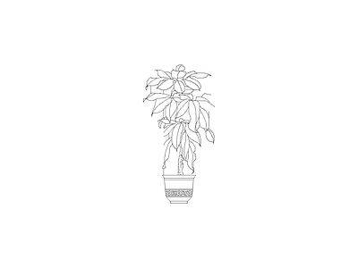 种绿植盆栽图块 植物