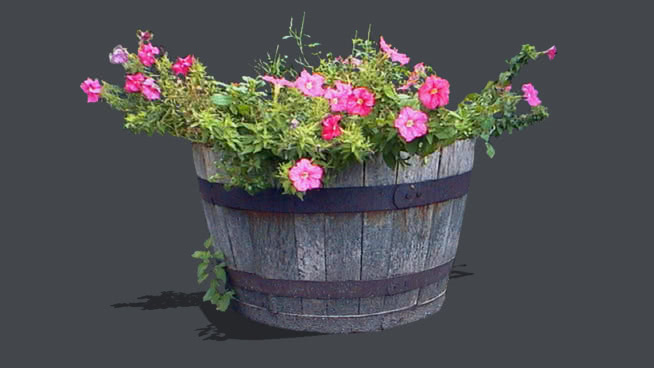 桶面2D花 花盆 植物 桶 花瓶 垃圾箱