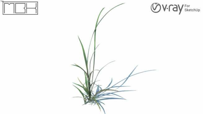 草，高聚合，VRY准备（064） 画 其他 书 植物 明信片