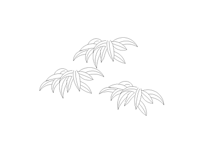 种植物平面图例 雷公竹