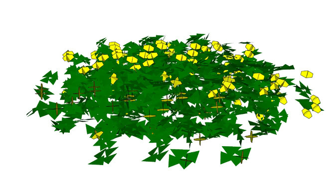 毛乌素 油菜花田 植物 花 其他 地图