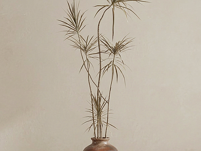 造型绿植盆栽