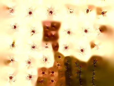 花朵纹理