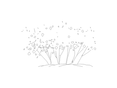 灌木种植 备用植物图例