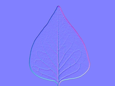 其他法线