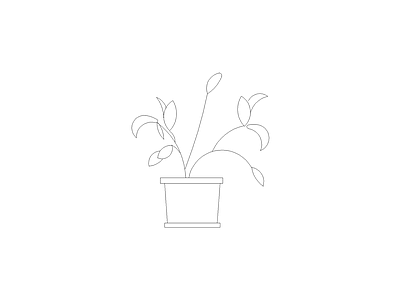绿植 植物图例