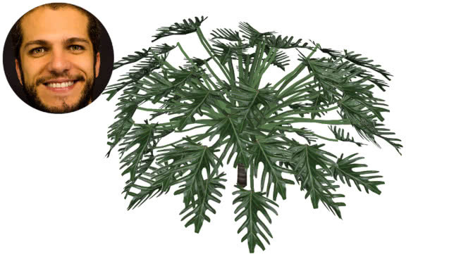 喜马拉雅花叶病 画 植物 钞票 美女 卷尾猴