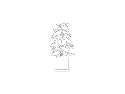 种绿植盆栽图块 植物