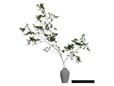 带枝叶的花瓶装饰