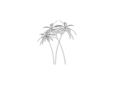 种绿植盆栽图块 植物