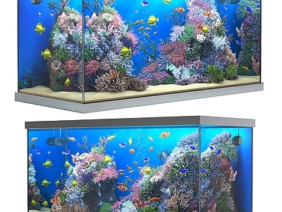 现代水族鱼缸