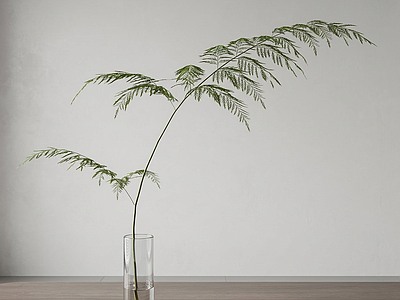 艺术绿植草本植物