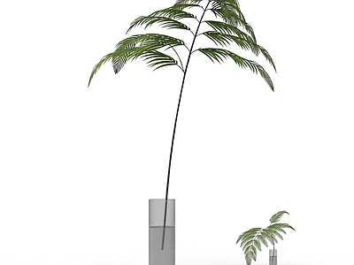 带盆绿植模型