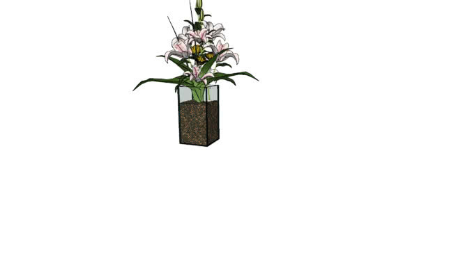 接待花瓶 其他 植物 饰品 画 花瓶