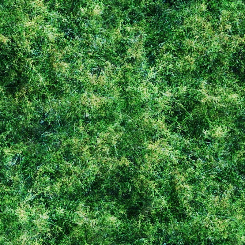 植物 自然元素