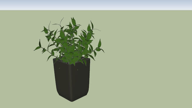 工厂1 植物 花瓶 其他 花盆